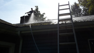 Roof Cleaning in Derby, New York by Carolina Clean.