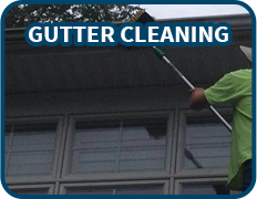 gutter cleaning