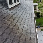 Roof Cleaning in Hamburg, New York by Carolina Clean.