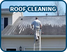 roof cleaning