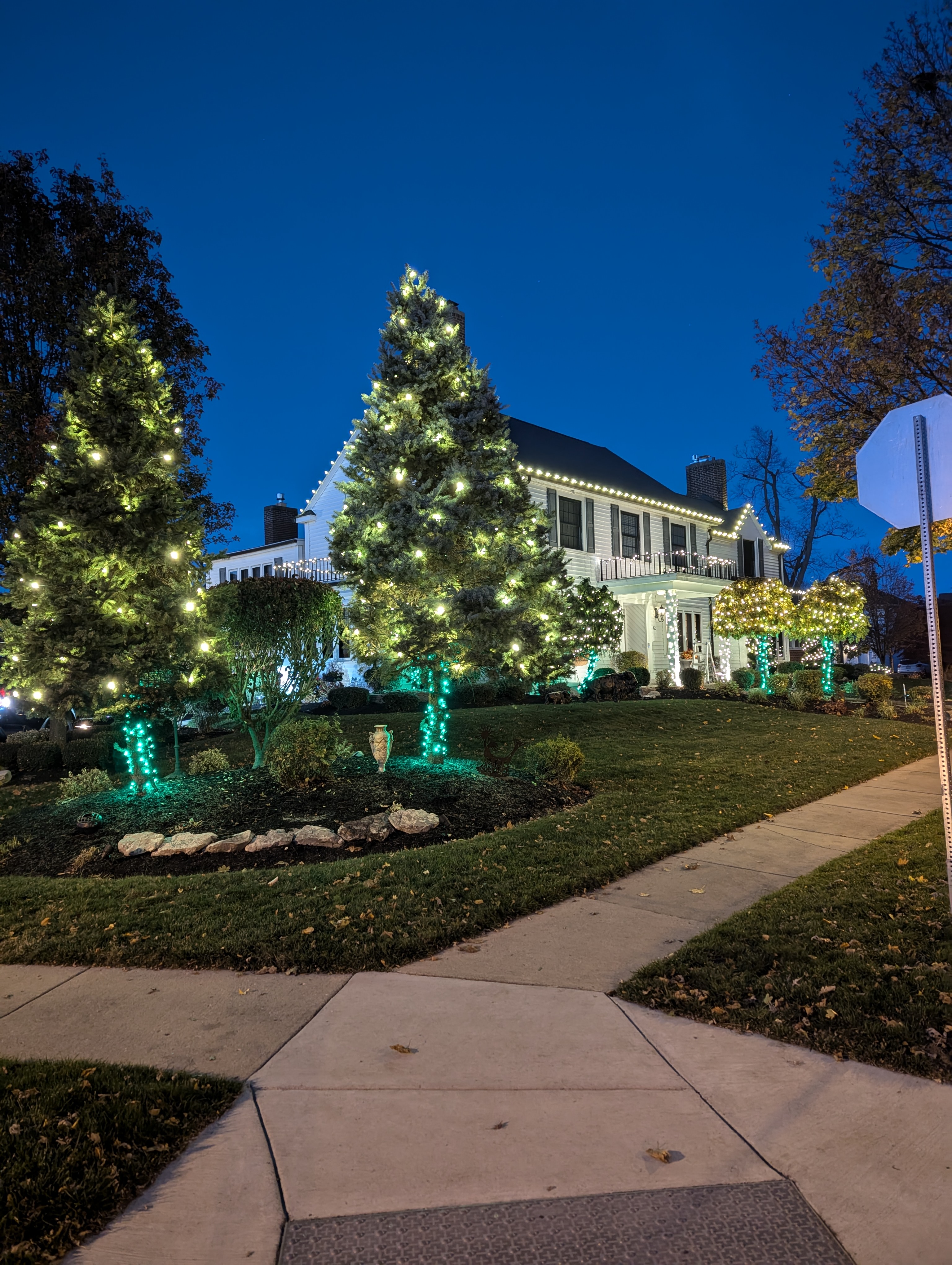 Evergreen and landscape lighting outside a Western New York home